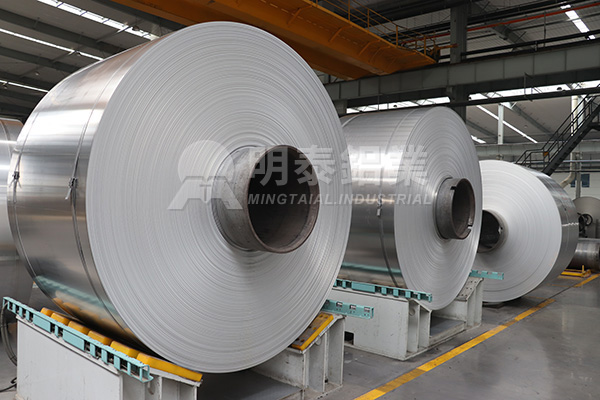 IMG_6787